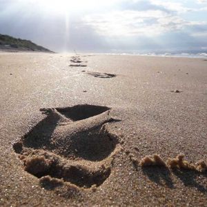 footprint-beach.jpg